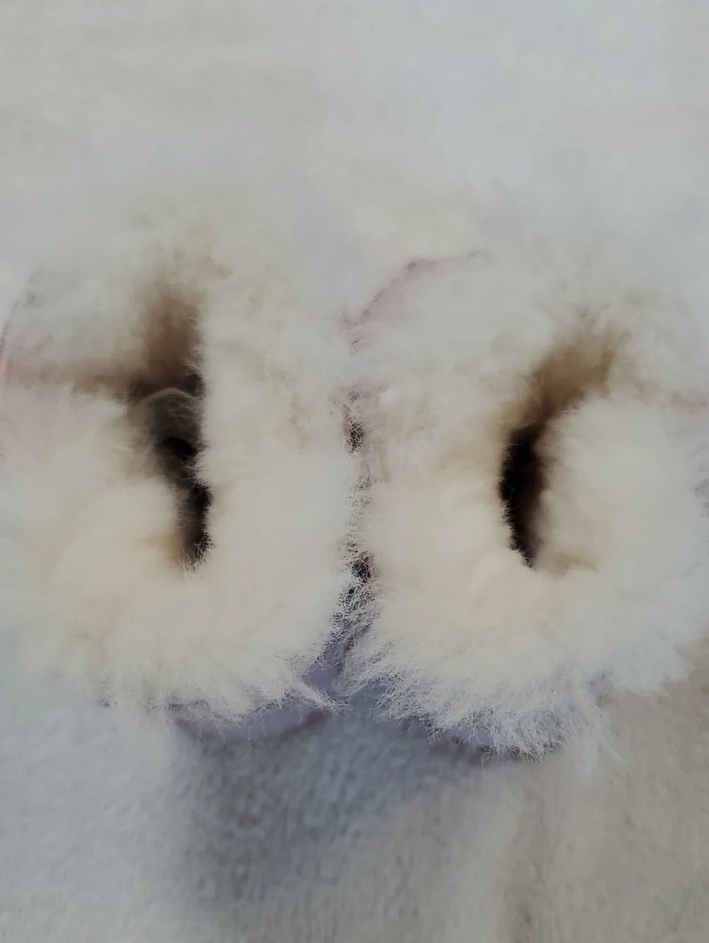 UGG Infants Caden Pink Suede Booties. Cozy Shearling Lining. Size 2-3